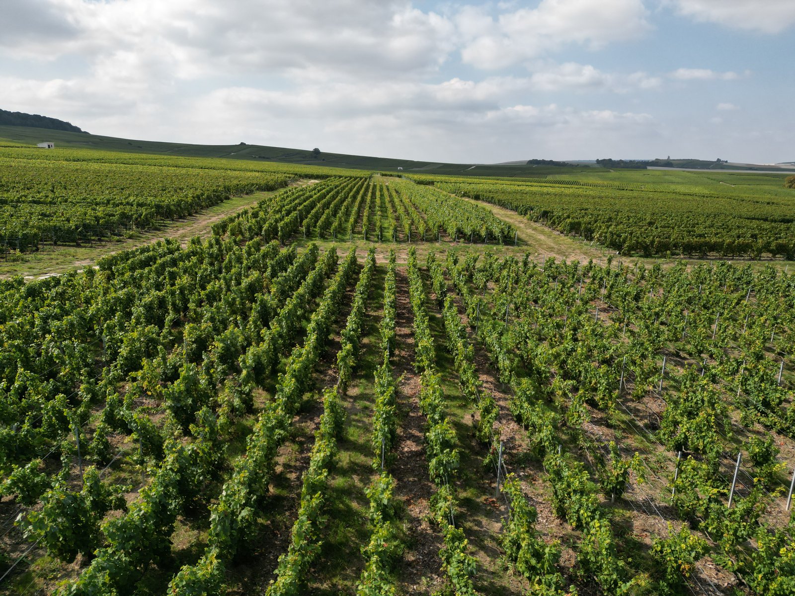 Vue aérienne du domaine