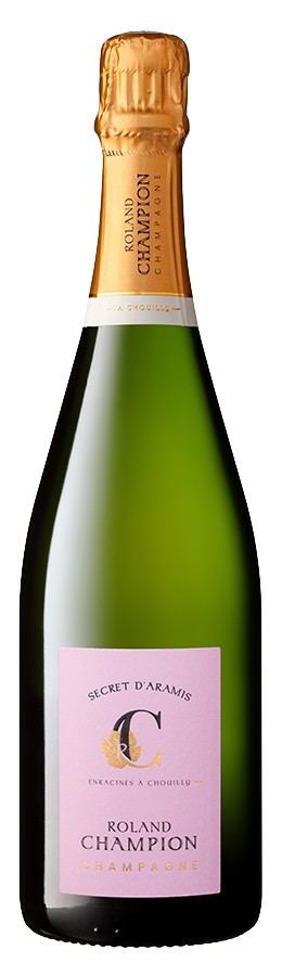 Secret d'Aramis