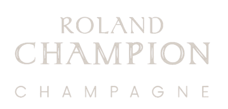 Logo Champion